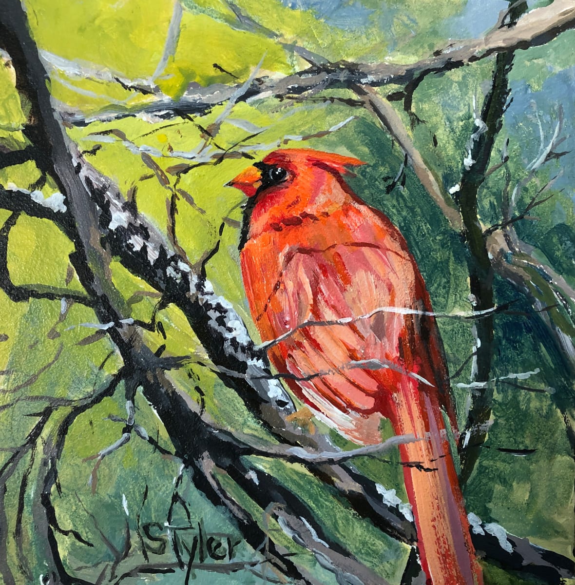 Cardinal by susan tyler  Image: Cardinals can be our loved ones visiting us.