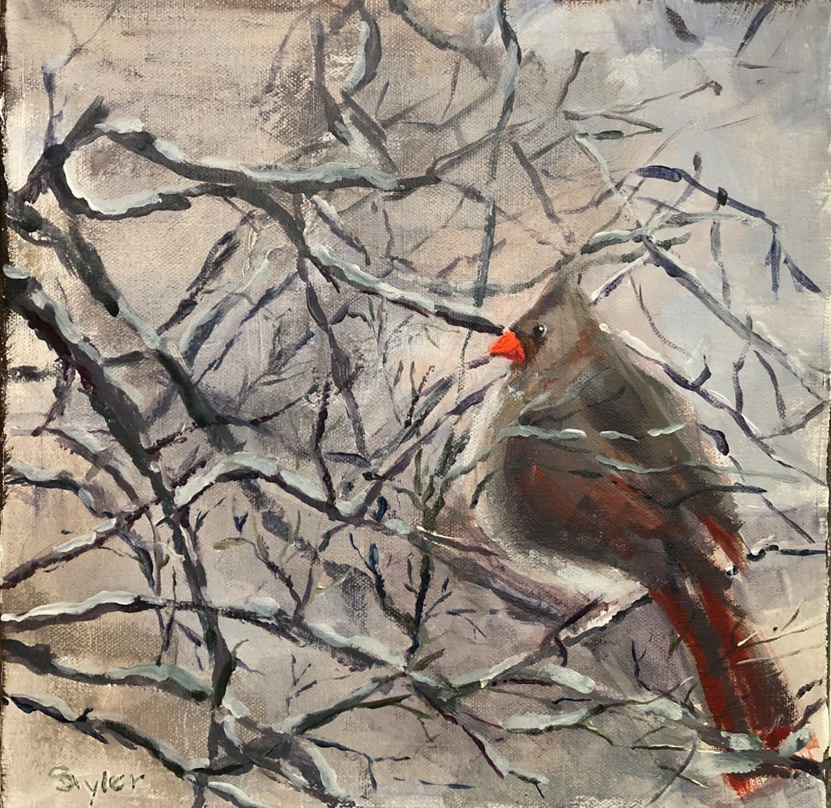 Waiting for Spring by susan tyler  Image: The Cardinals are always a bright sight in the winter trees. They puff up there feathers to help keep them warm and brace against the cold wind. 