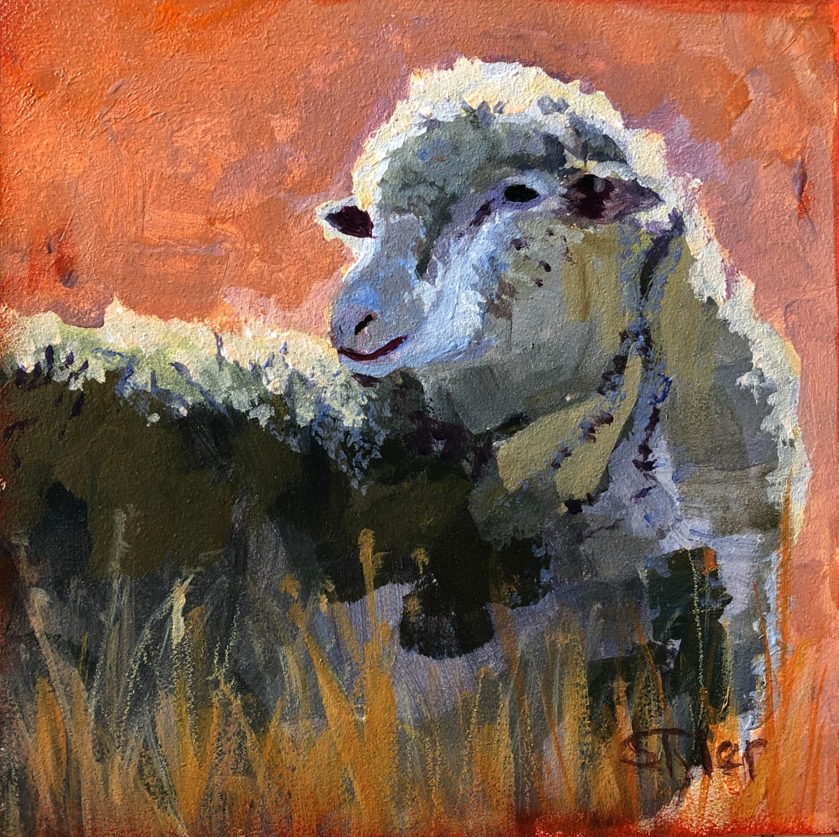 Sheep Series  Image: I love the way the sun catches the edges of the sheep. White sheep are fun to paint. 