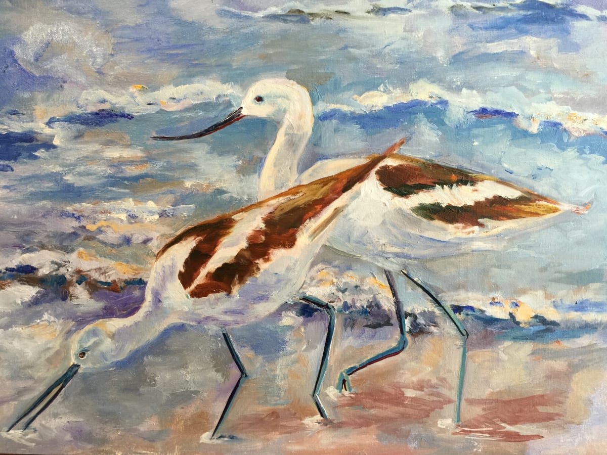 Stilts by susan tyler  Image: Majestic shore birds
