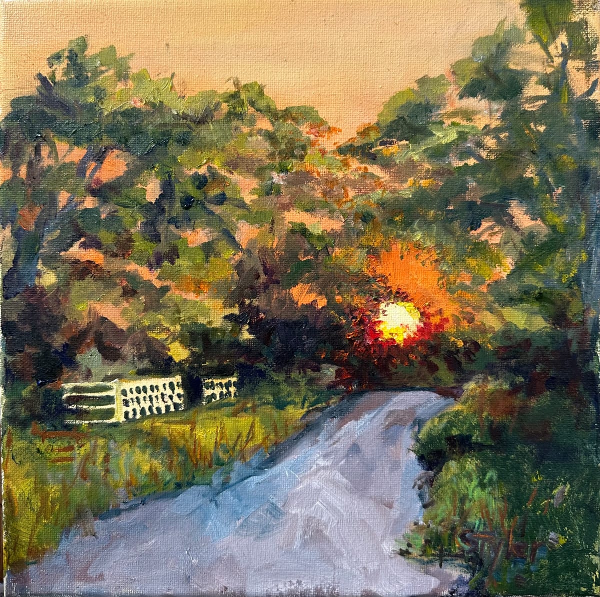 Coming Home by susan tyler  Image: We were treated to this breath taking moment on our way home