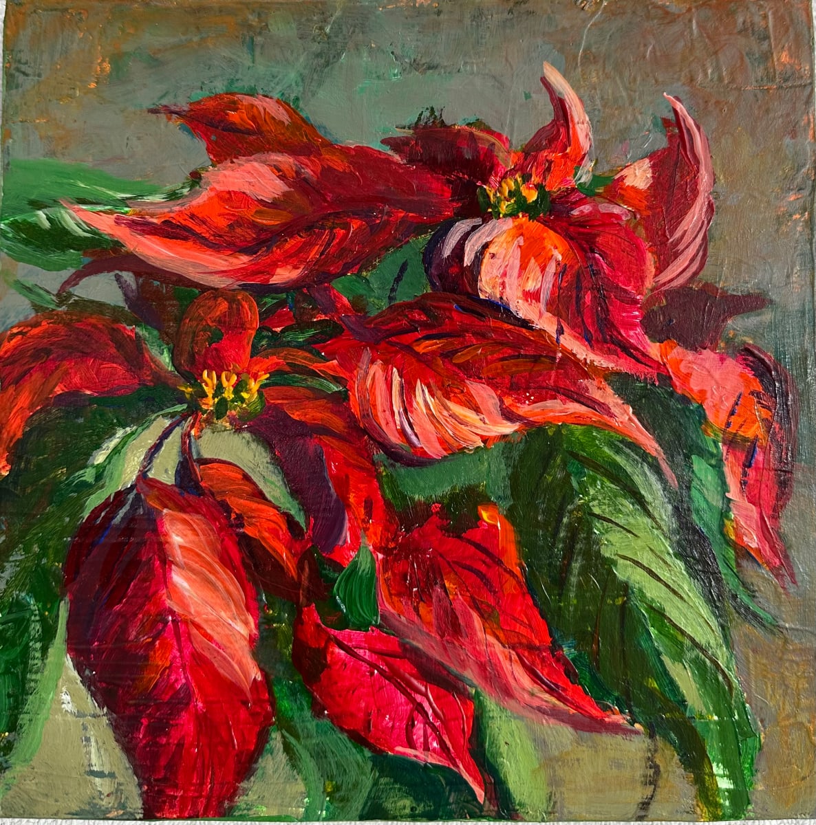 Poinsettia by susan tyler  Image: I love these ever-present Christmas flowers. 