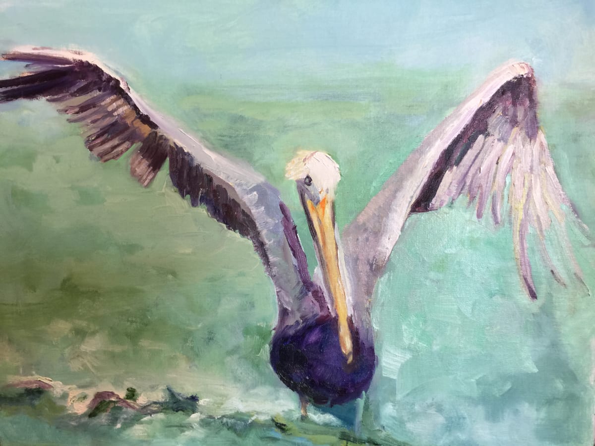 Landing by susan tyler  Image: The Pelicans are always a bright sight for the day