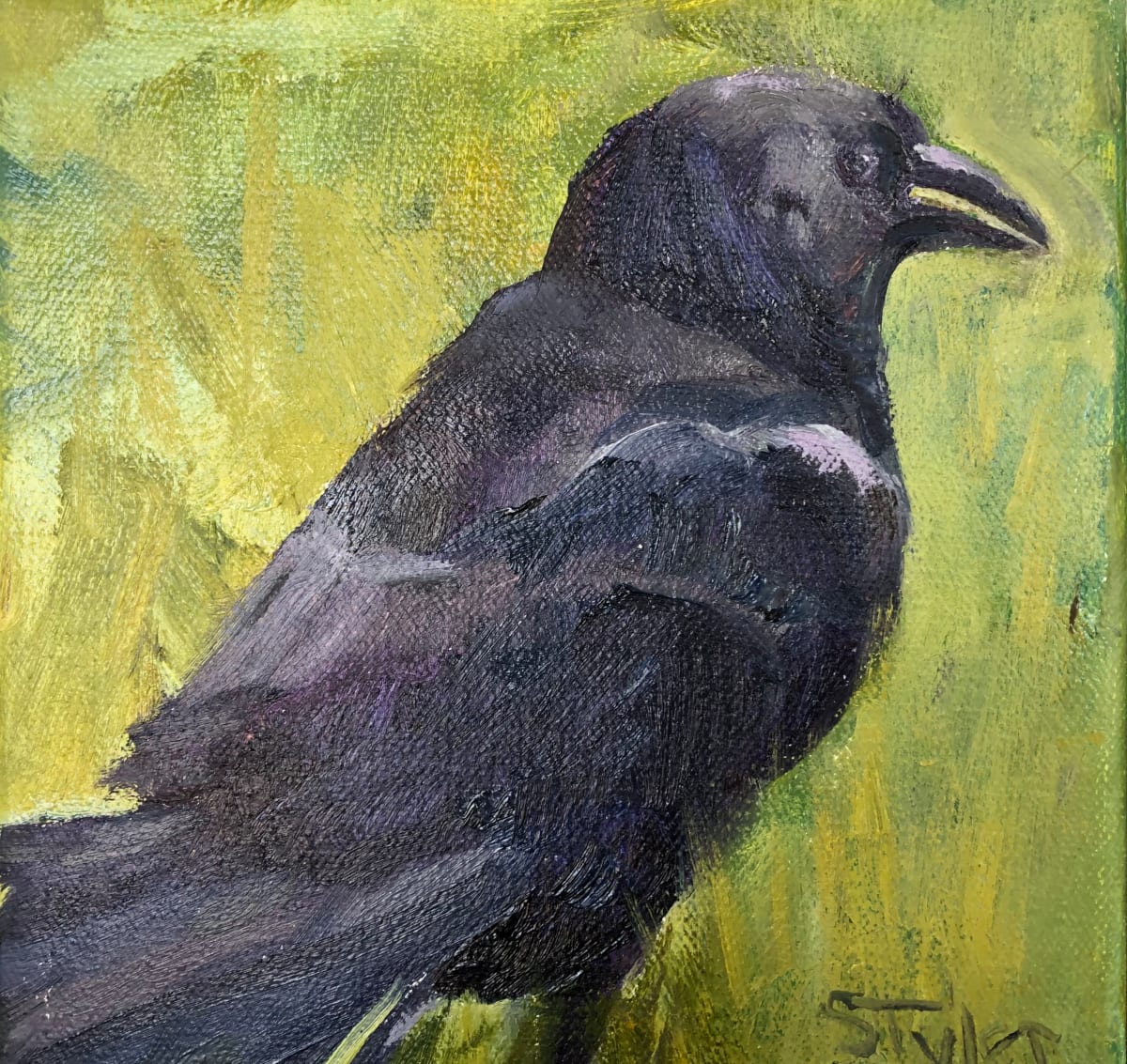 Bird Images by susan tyler, Image 10.