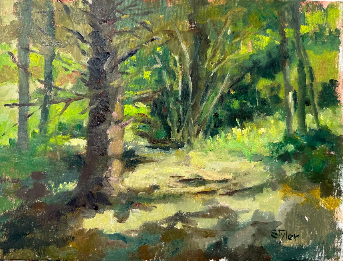 Follow Me by susan tyler  Image: Dee, cut this path for me a Cuvee. I have a view of the pond and the 365 gives me multiple other views of our land. I love this place