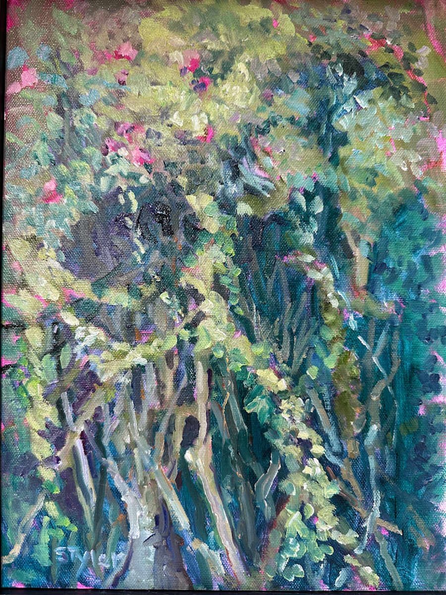 Tangle by susan tyler  Image: Plein Air view form my Studio Porch