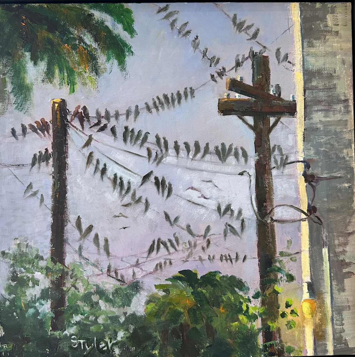 Annual Migration by susan tyler  Image: Every Fall, Galveston explodes with the invasion of the birds. For the most part they are starlings, but there could be other types of birds. 
