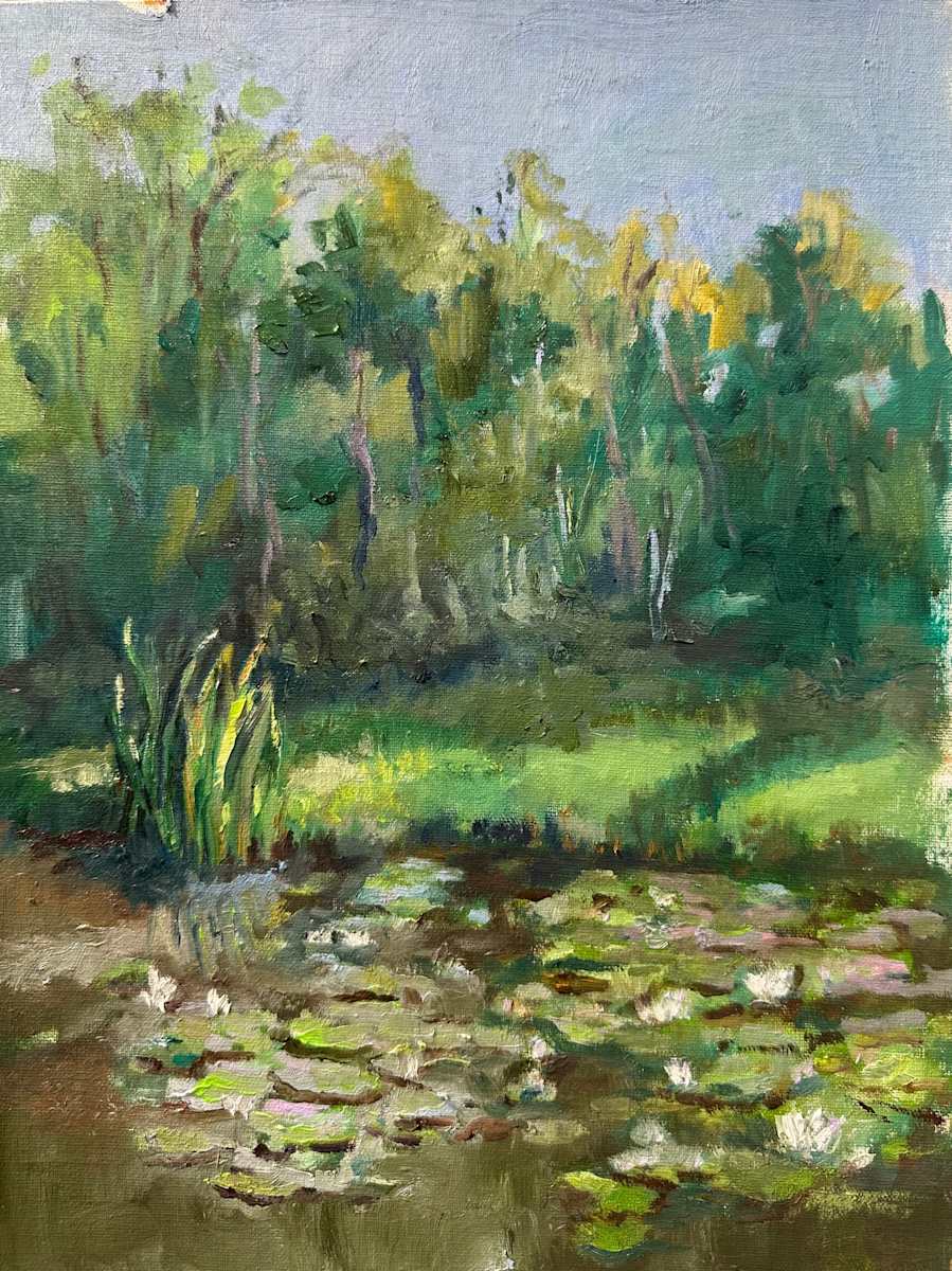 September Light by susan tyler  Image: As the sun moves into the Fall sky it has a soft essence to it. 
