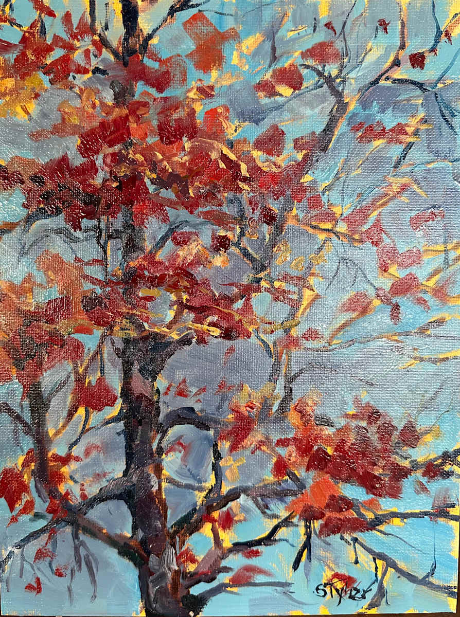 Early Post Oak by susan tyler  Image: Post Oak is one of are most prevalent trees. It has struggled in the past 30 years with climate change and pestilence. I sure hope that we can overcome this for trees sake and ours. 