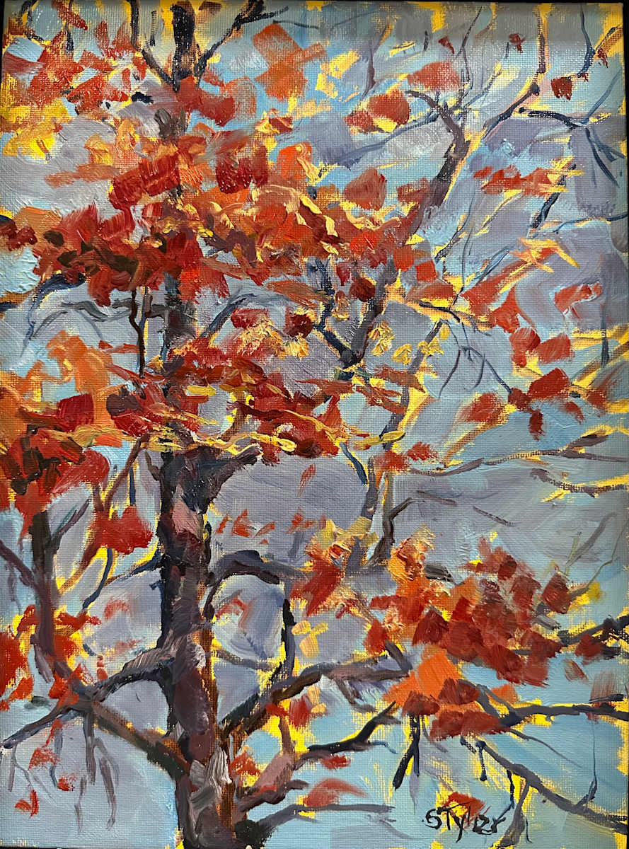 Early Post Oak by susan tyler  Image: Our Post oaks turn a rusty red. This is one of our early harbingers of fall. 