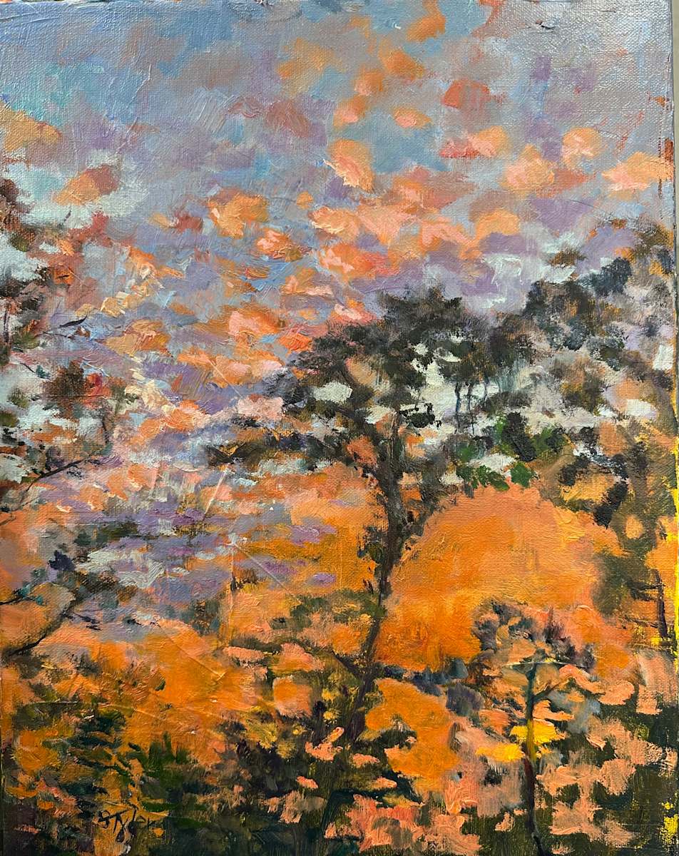 Evening Celebration by susan tyler, Image 1.