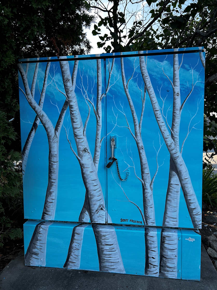 A Stand of Birches by Scott Froeschl 