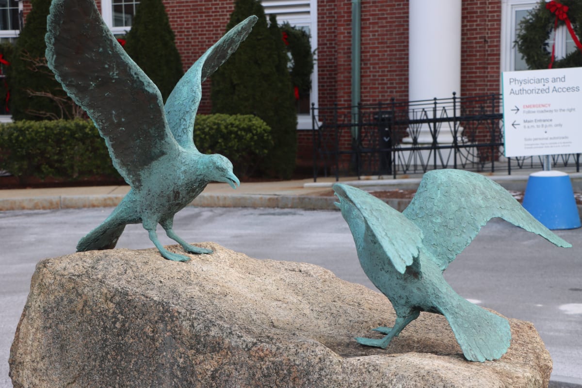 Two Seagulls by Beverly Benson Seamans 