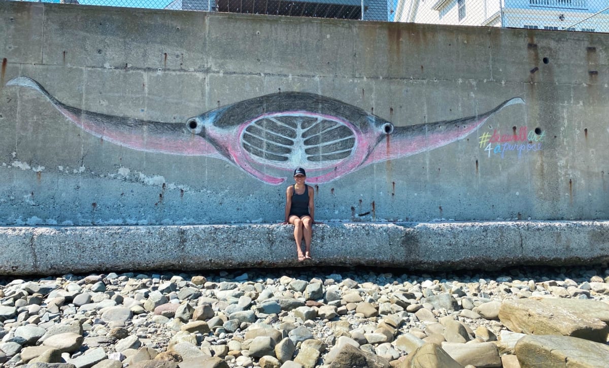 Vanishing Pink Manta Ray  Image: Vanishing Pink Manta Ray drawn with foraged wildfire charcoal and chalk during low tide.  He washed away the next day in a storm.