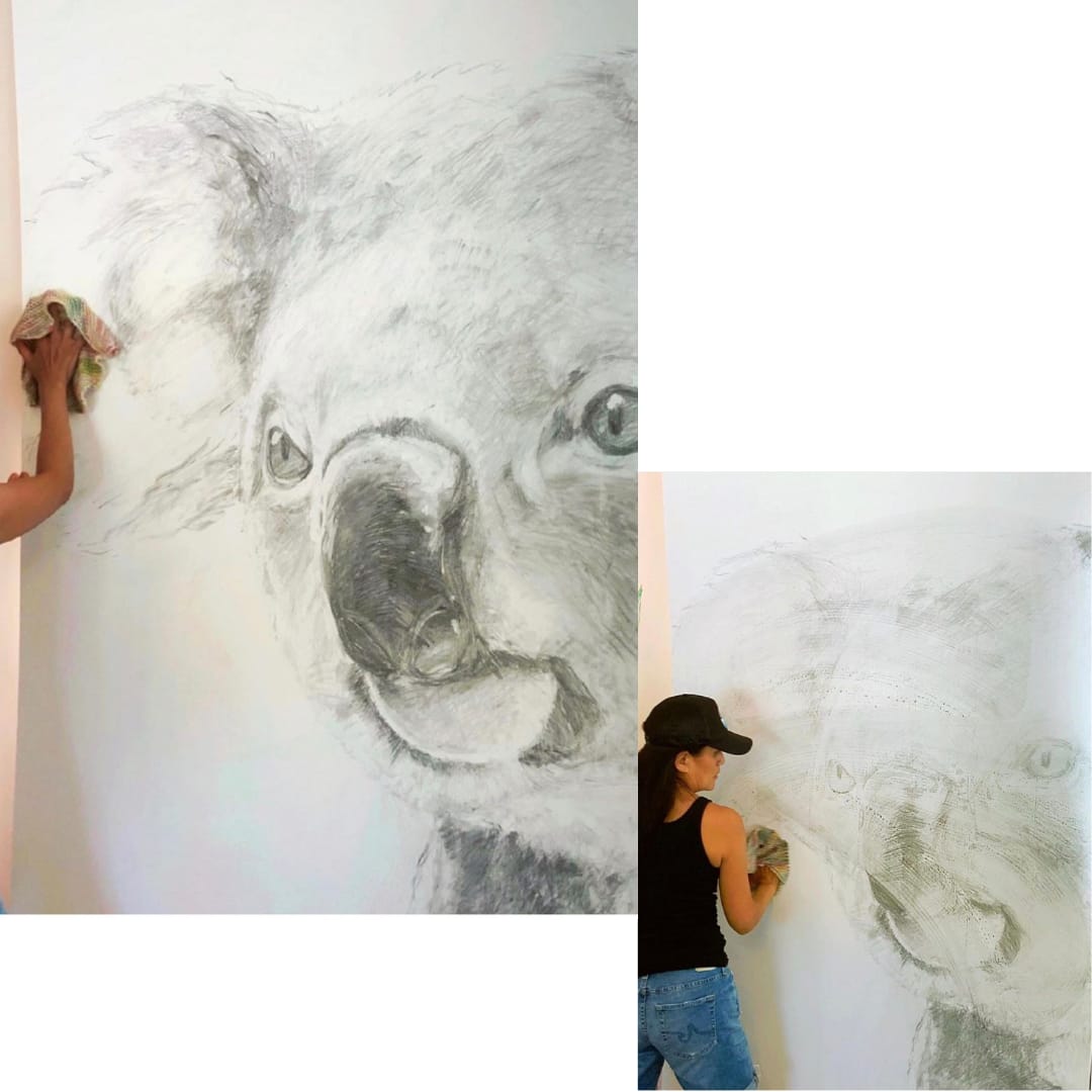 Vanishing Koala  Image: Vanishing Koala drawn with foraged charcoal from the Australian bushfires.