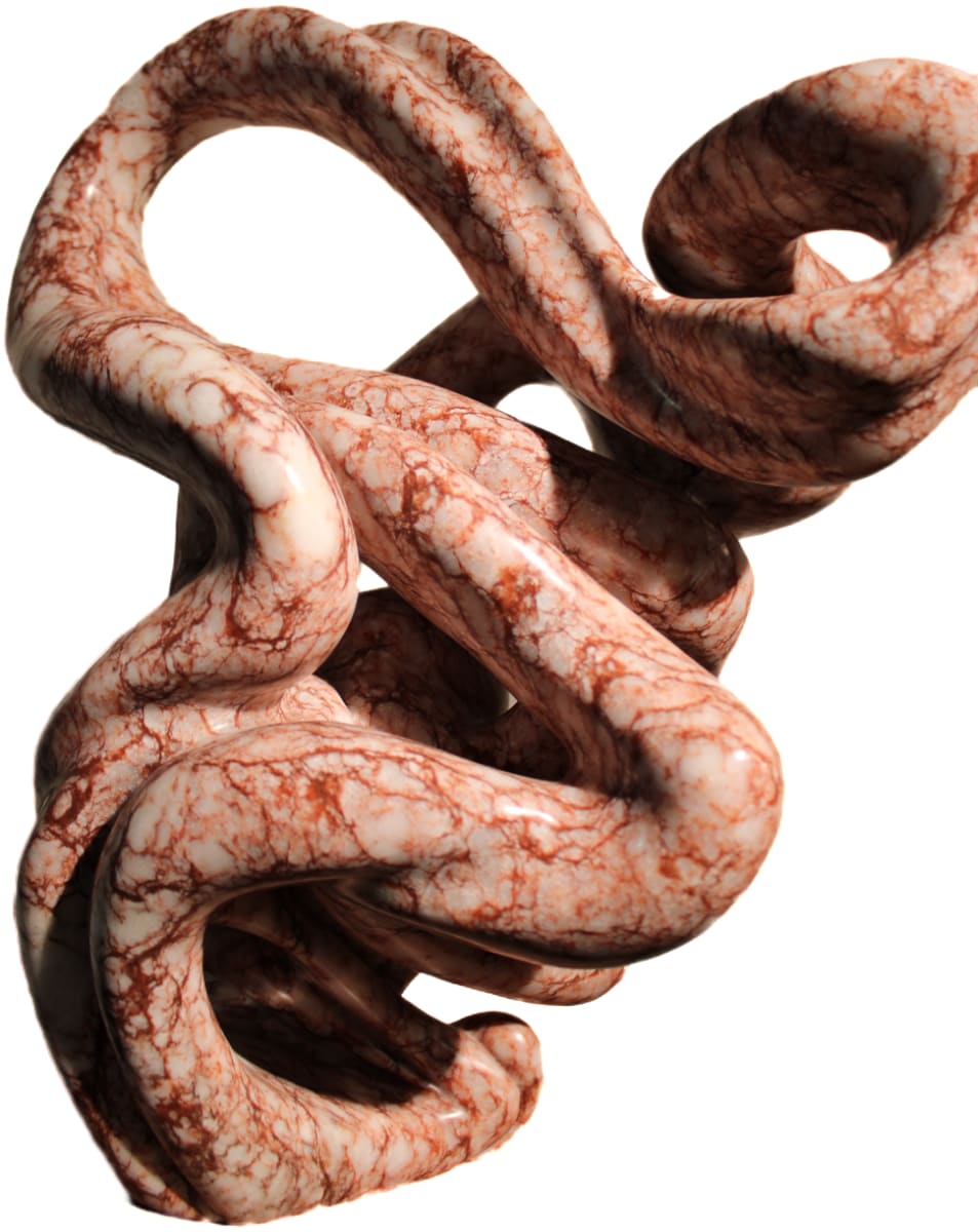 Politics Of My Skin by Brad Lee 