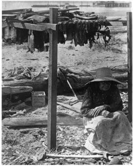 Tribal Elder drying fish, 1900 by Charlotte Watts 