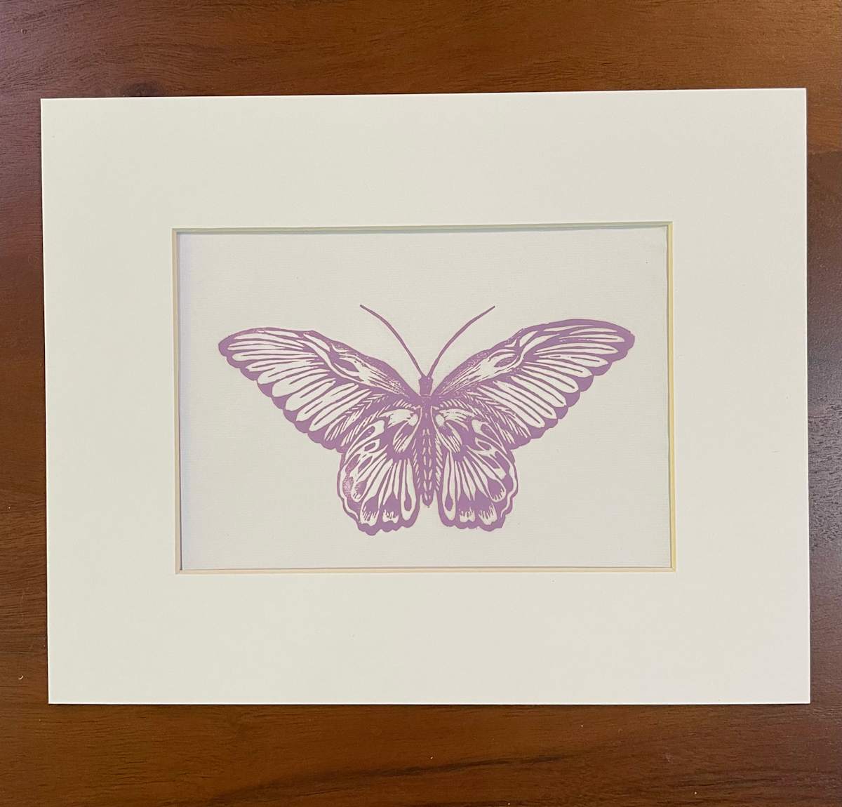 Violet Butterfly - Matted 8x10in by A. D. Herzel 
