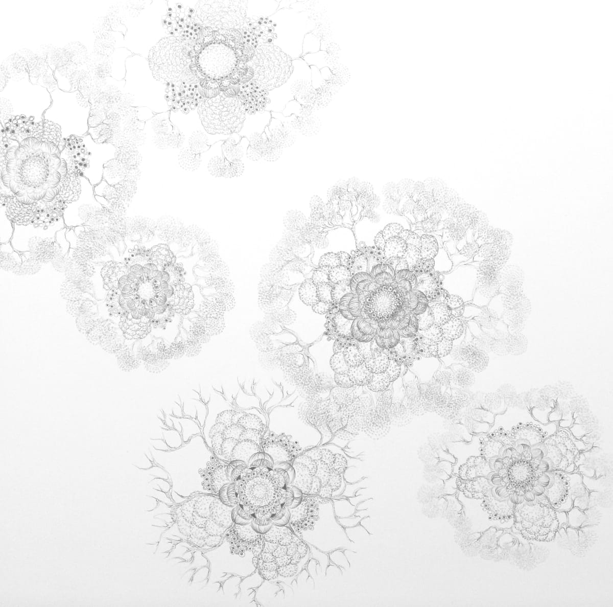 11. Replicate by A. D. Herzel, Image 2.