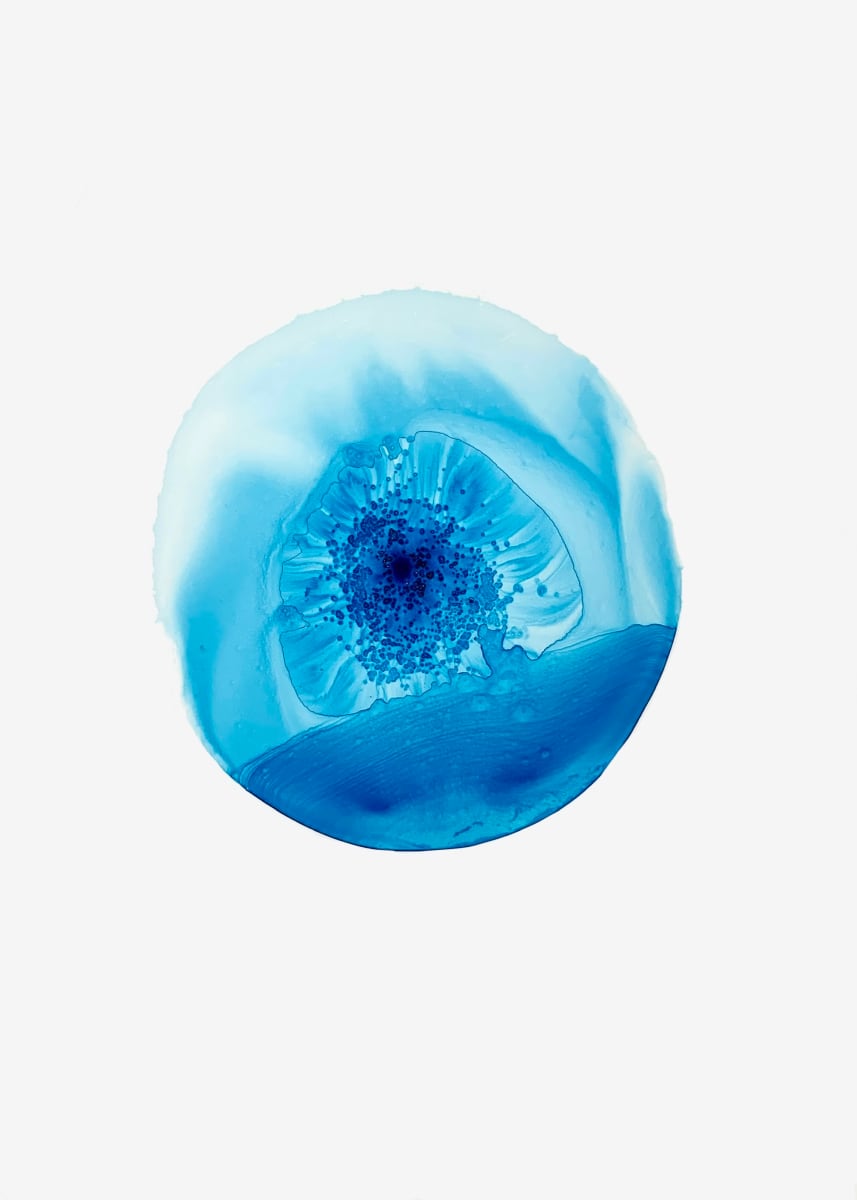 Turquoise 4 by Michelle Concepción 