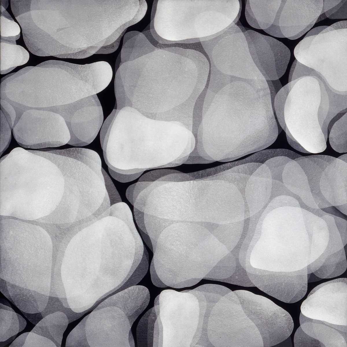 Blanco sobre Negro 2 by Michelle Concepción, Image 1.