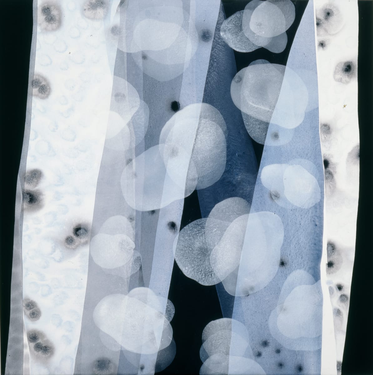 Hybrid 1 by Michelle Concepción, Image 3.