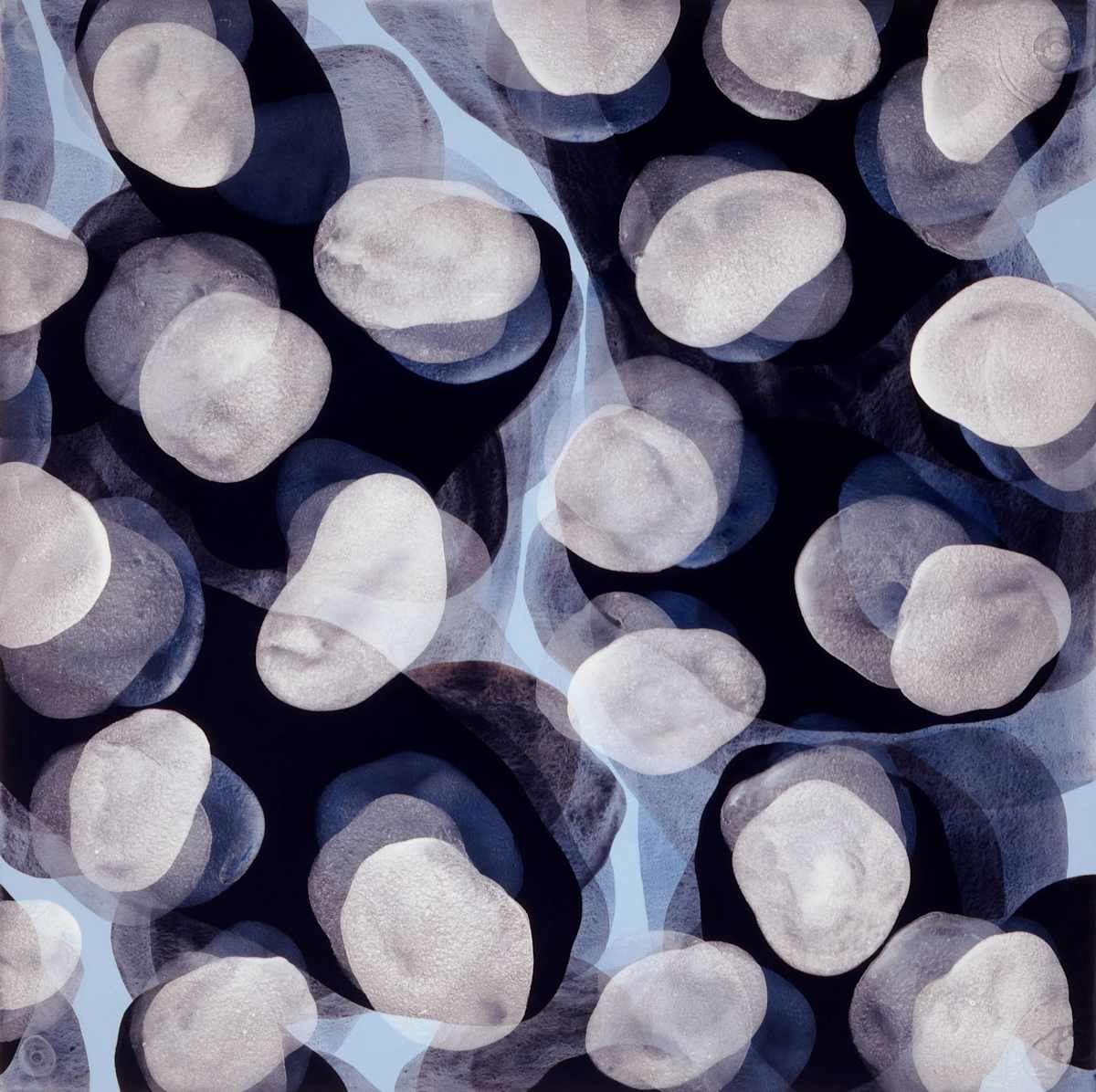 Hybrid 1 by Michelle Concepción, Image 1.