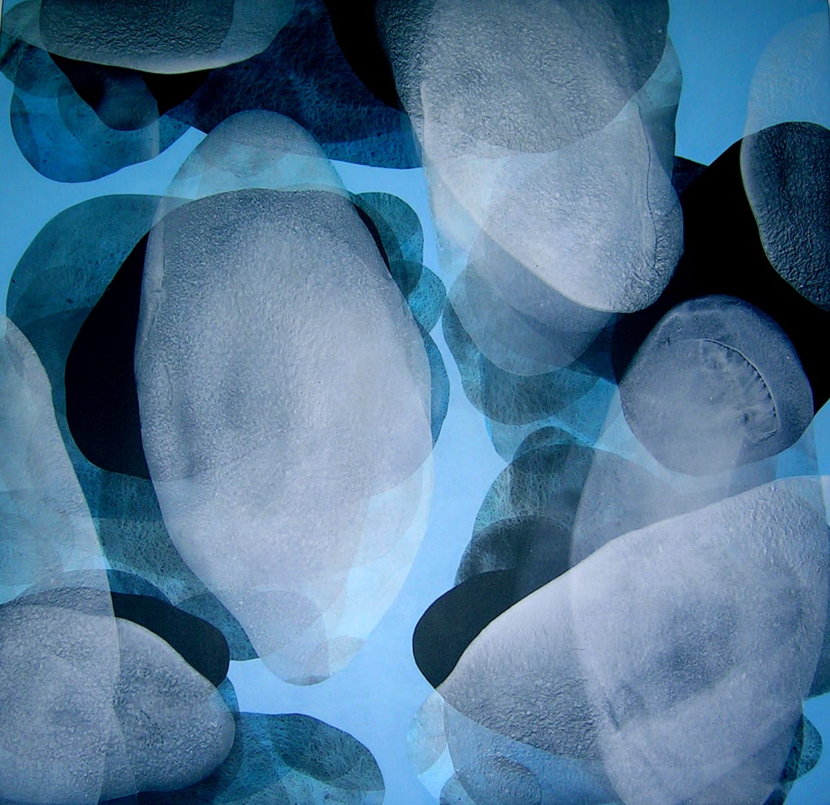 Hybrid 4 by Michelle Concepción, Image 1.