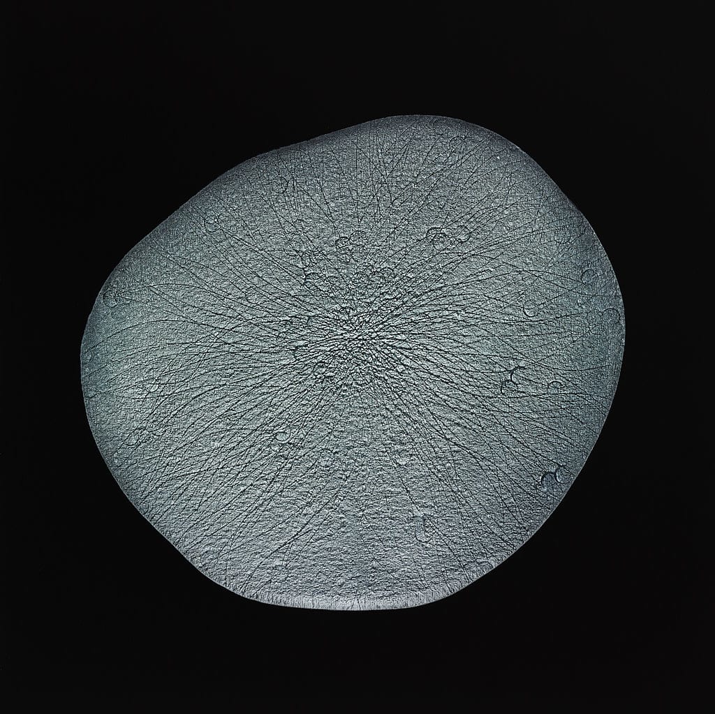 Surface 12 by Michelle Concepción 