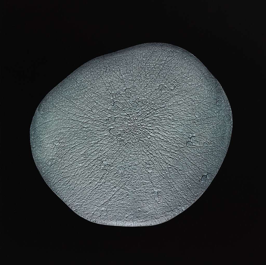 Surface 12 by Michelle Concepción, Image 1.