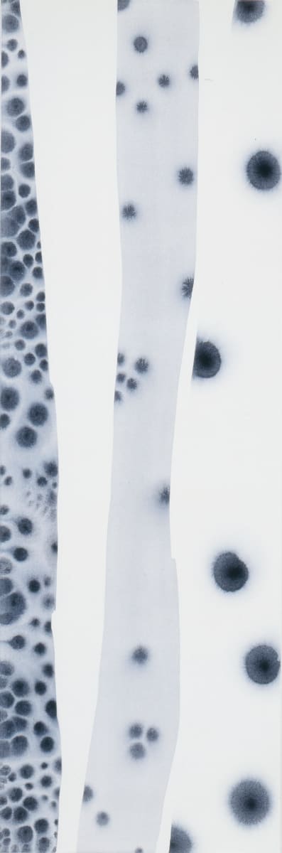 Transparence 2, Image 1.