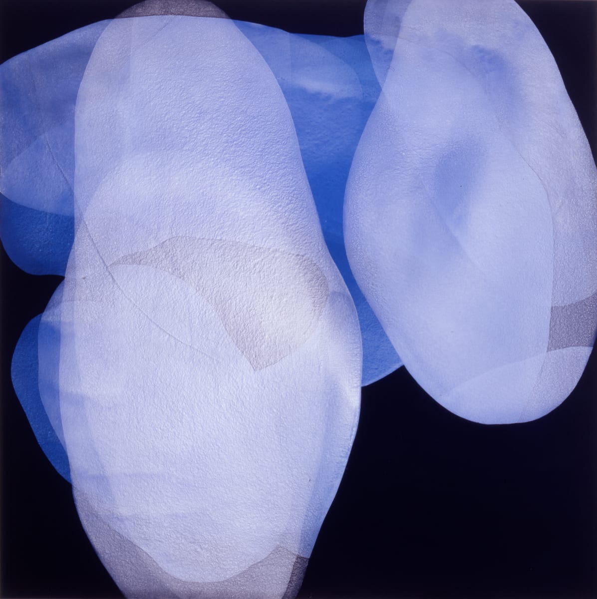 Transposition 1 by Michelle Concepción, Image 1.