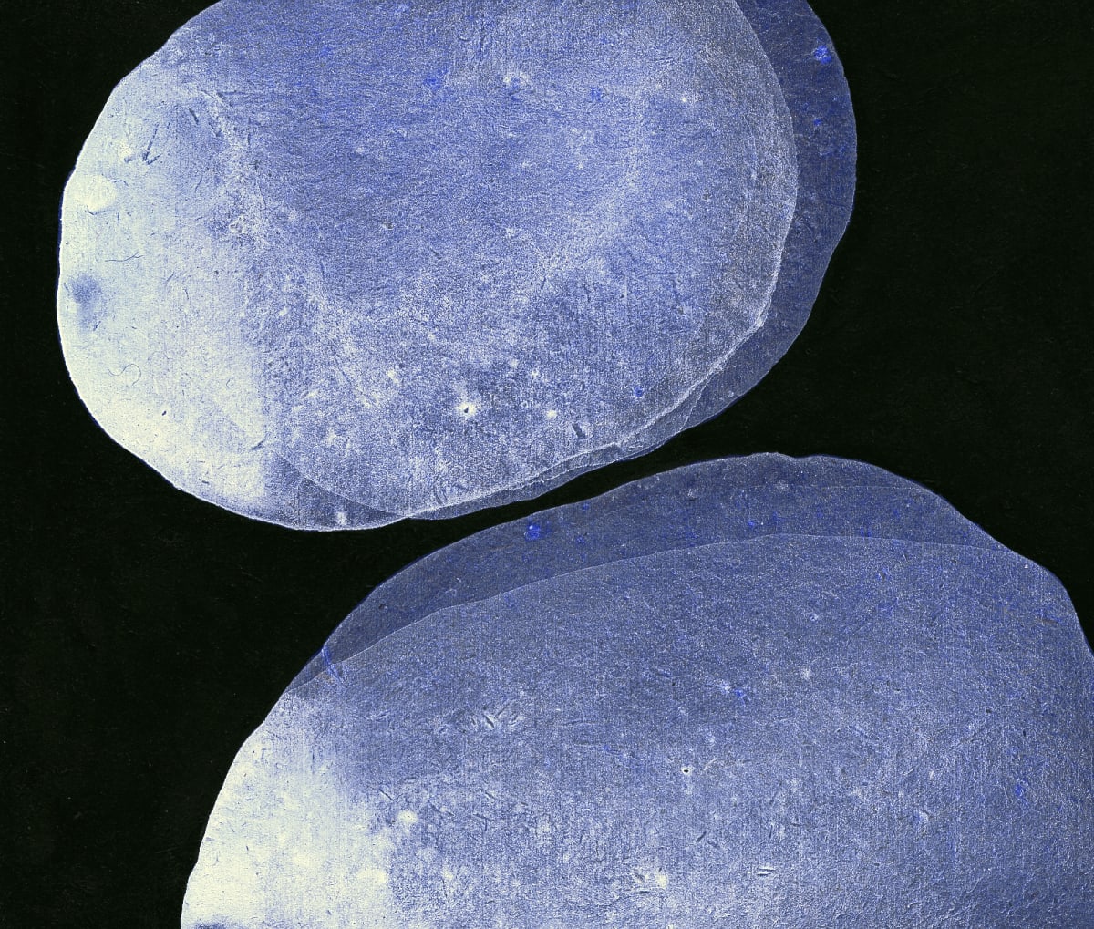 CD1, Image 1.