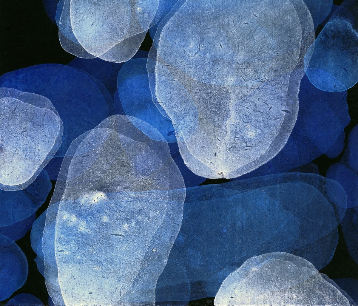 CD1 by Michelle Concepción 