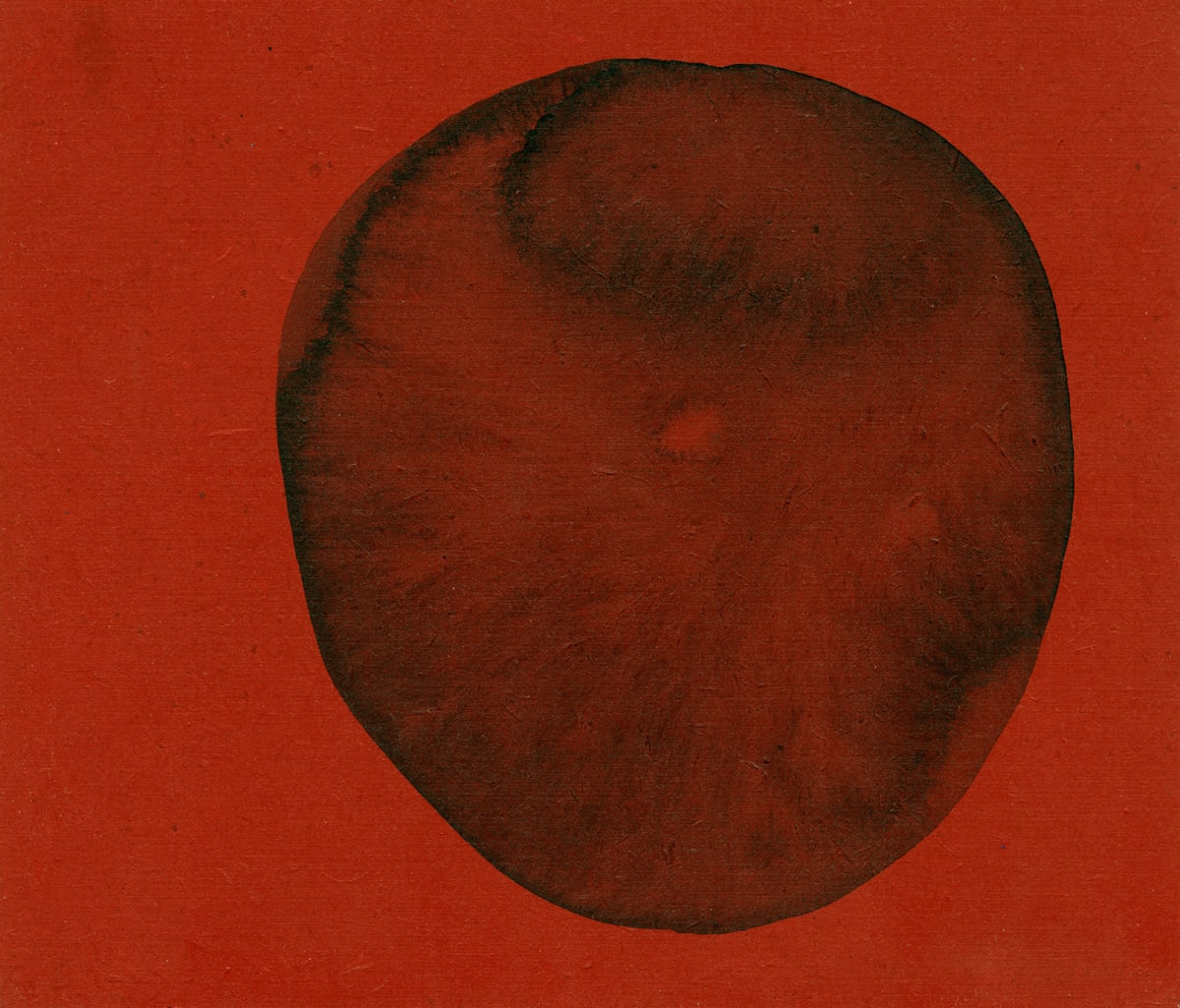 CD7 by Michelle Concepción 