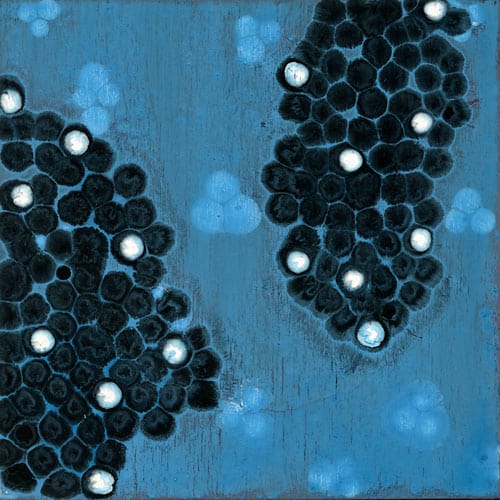 Movement 17, Image 1.