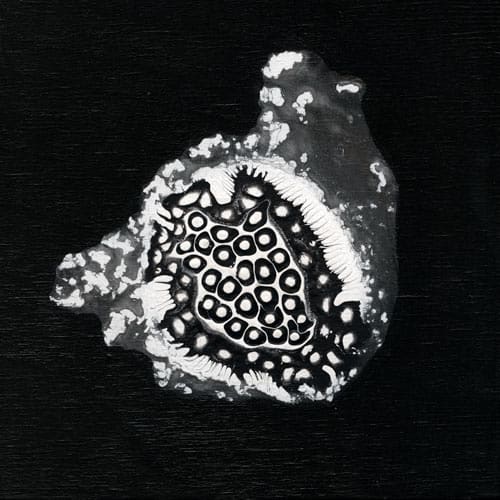 Movement 24, Image 1.