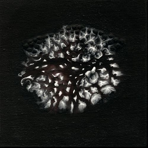 Movement 38, Image 1.