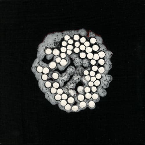 Movement 42, Image 1.