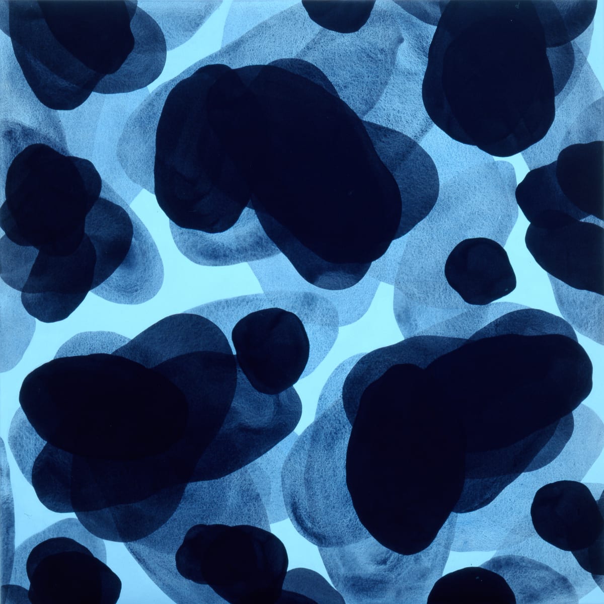 Orgánico 2, Image 2.