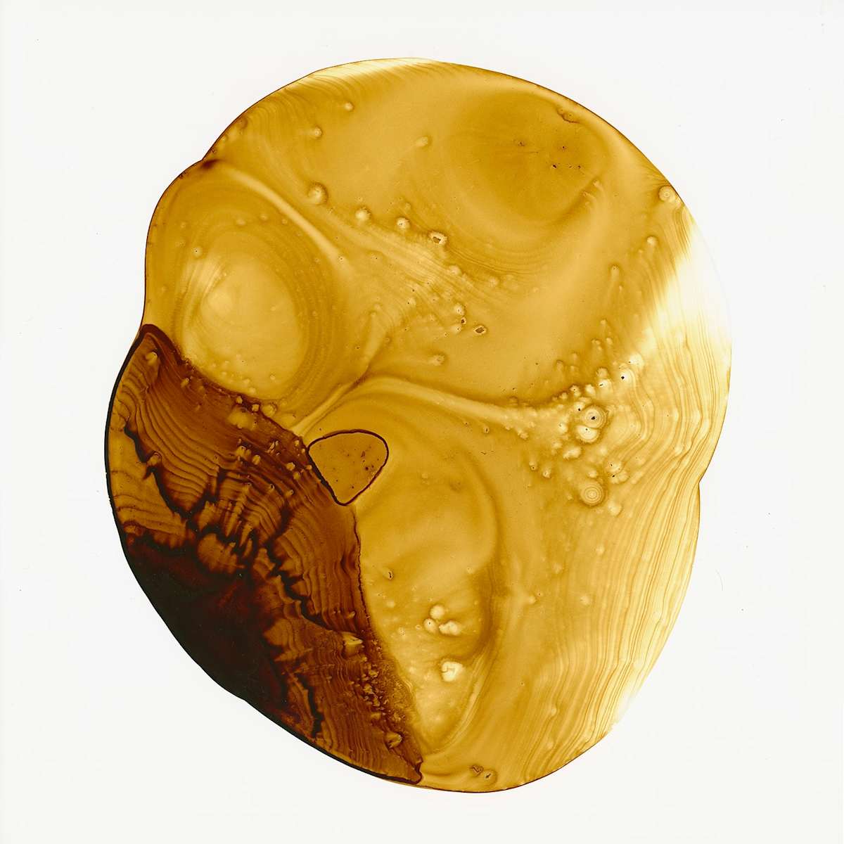 Square Pearl  3 by Michelle Concepción 