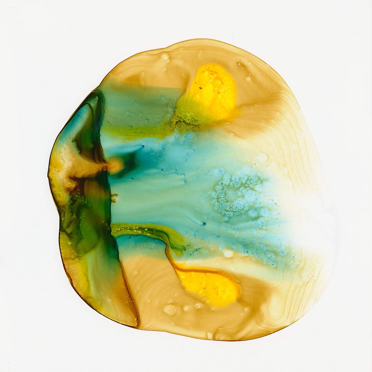 Square Pearl 5 by Michelle Concepción 