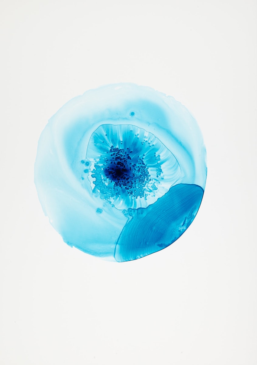 Turquoise 3 by Michelle Concepción  Image: web