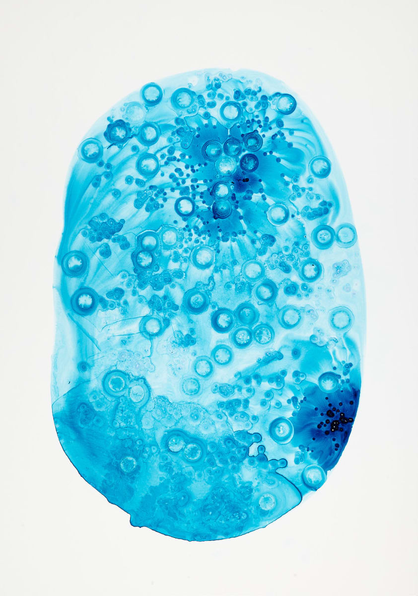 Turquoise 7 by Michelle Concepción  Image: web