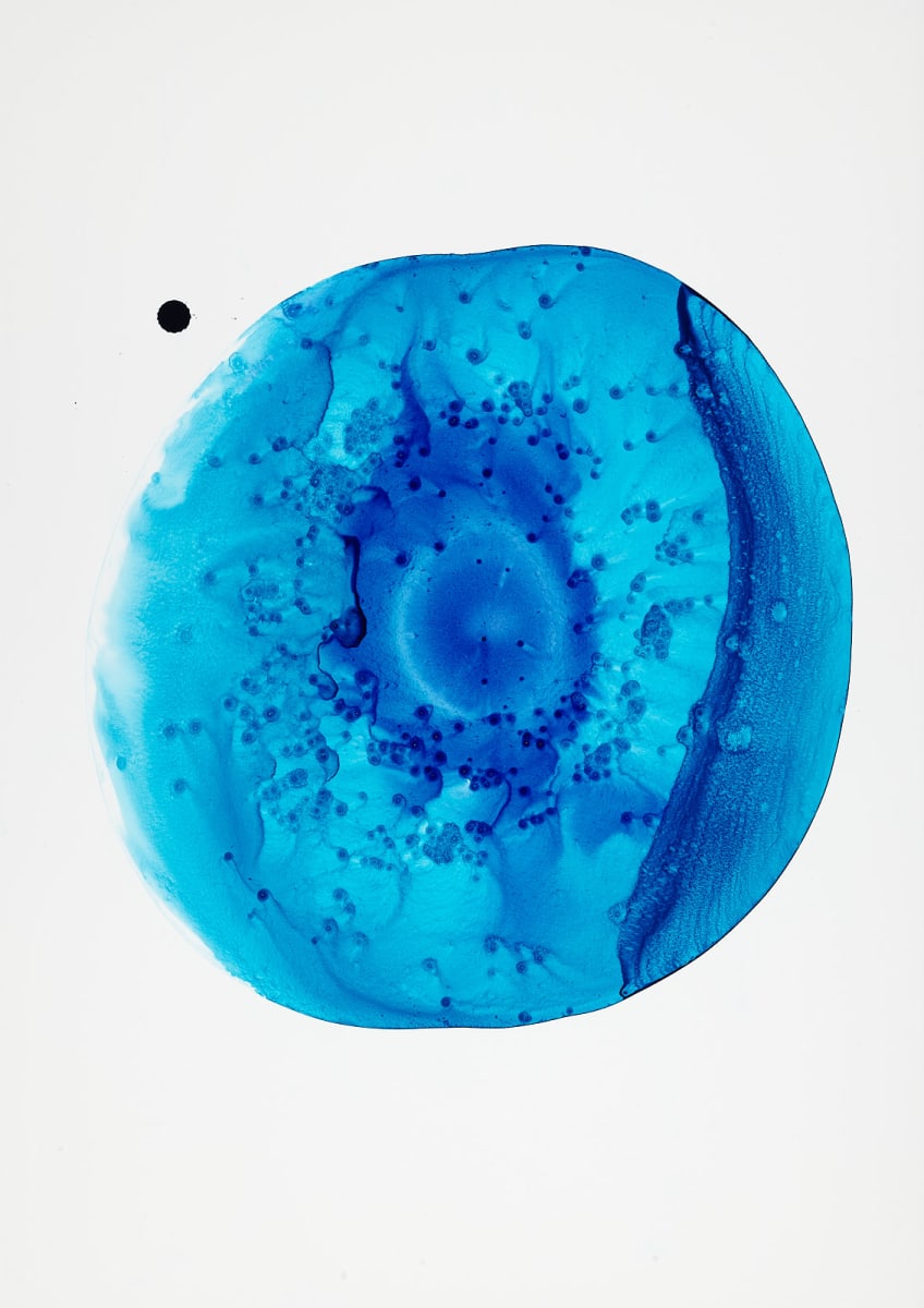 Turquoise 12 by Michelle Concepción 