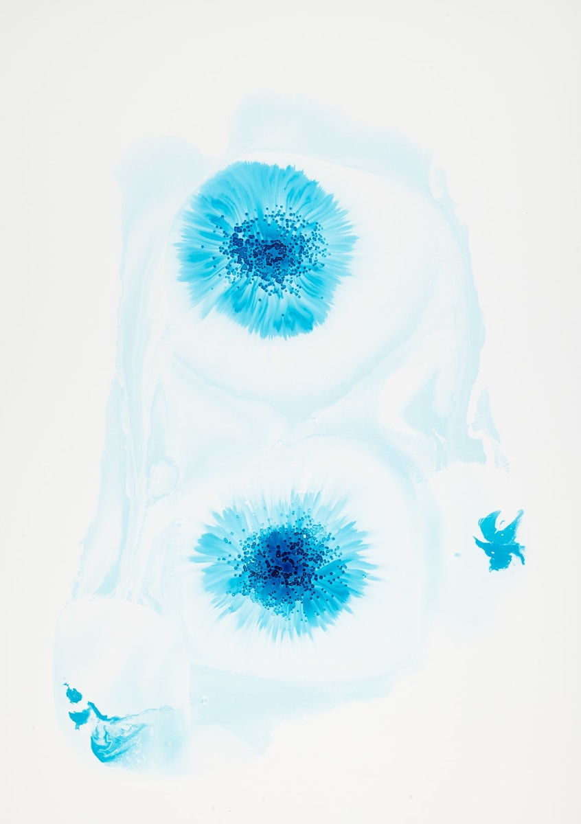 Turquoise 14 by Michelle Concepción  Image: web