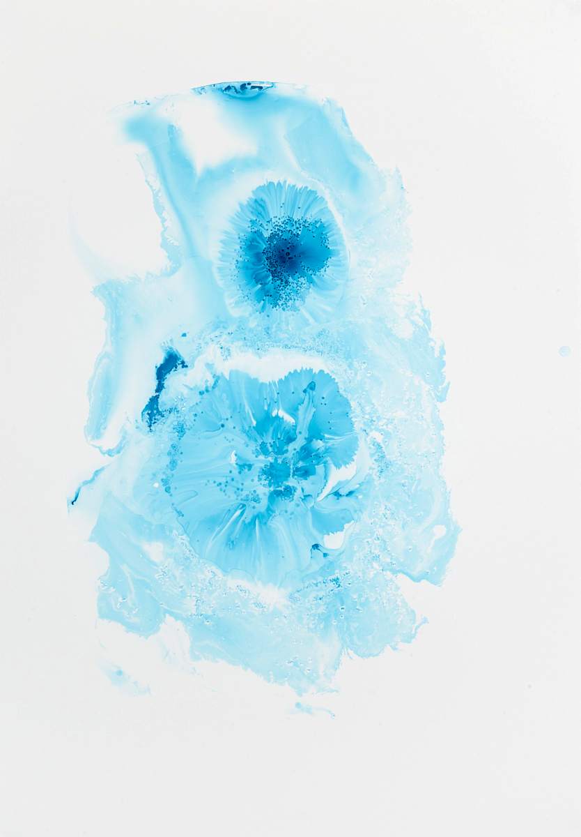 Turquoise 17 by Michelle Concepción 