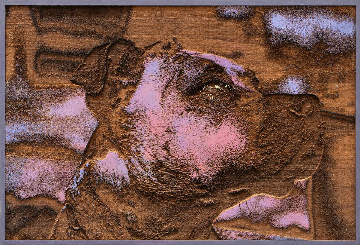 O'Reilly by Max Maddox, Image 1.