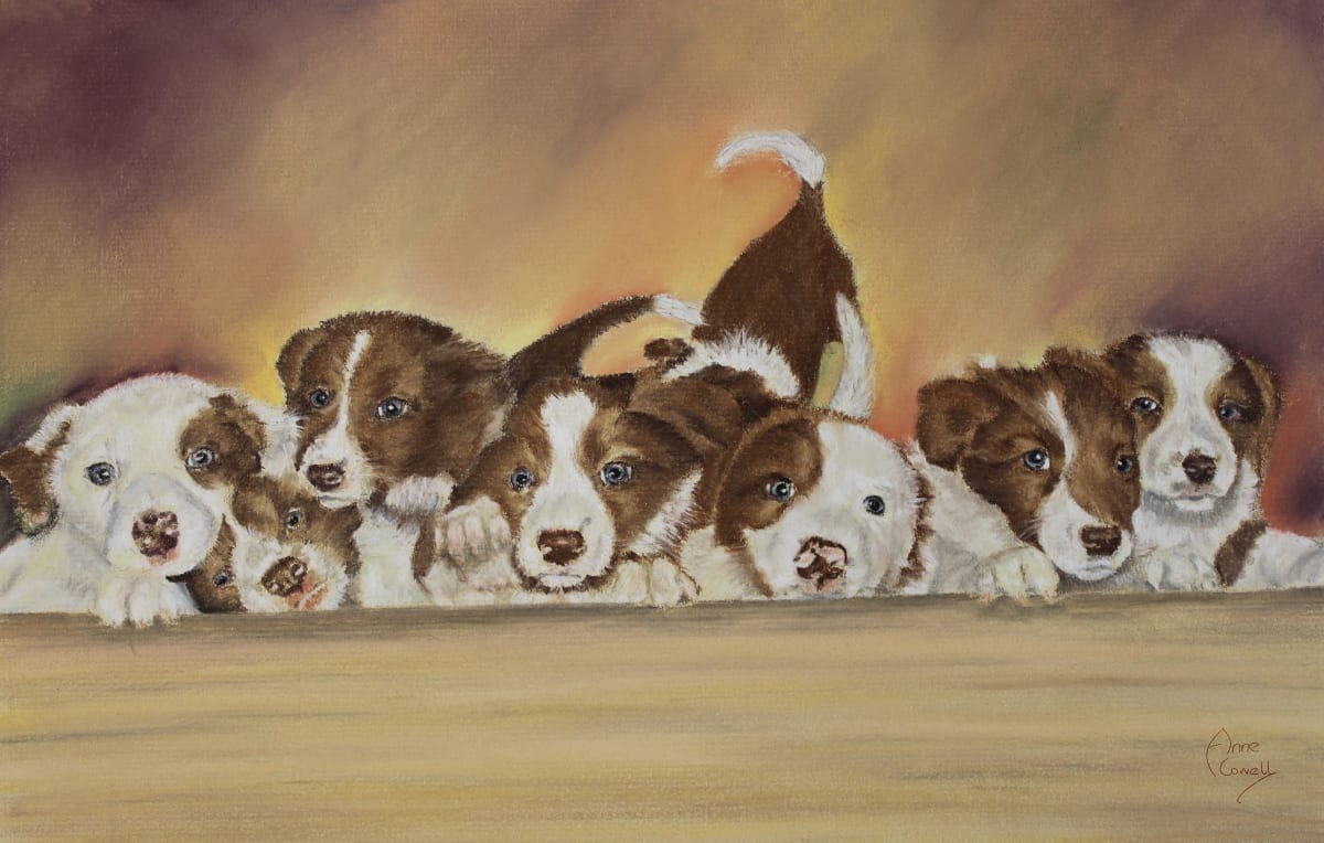 Chocolate Puppies by Anne Cowell 