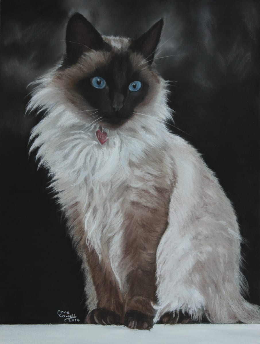 Fluffy (Desere's cat) by Anne Cowell 